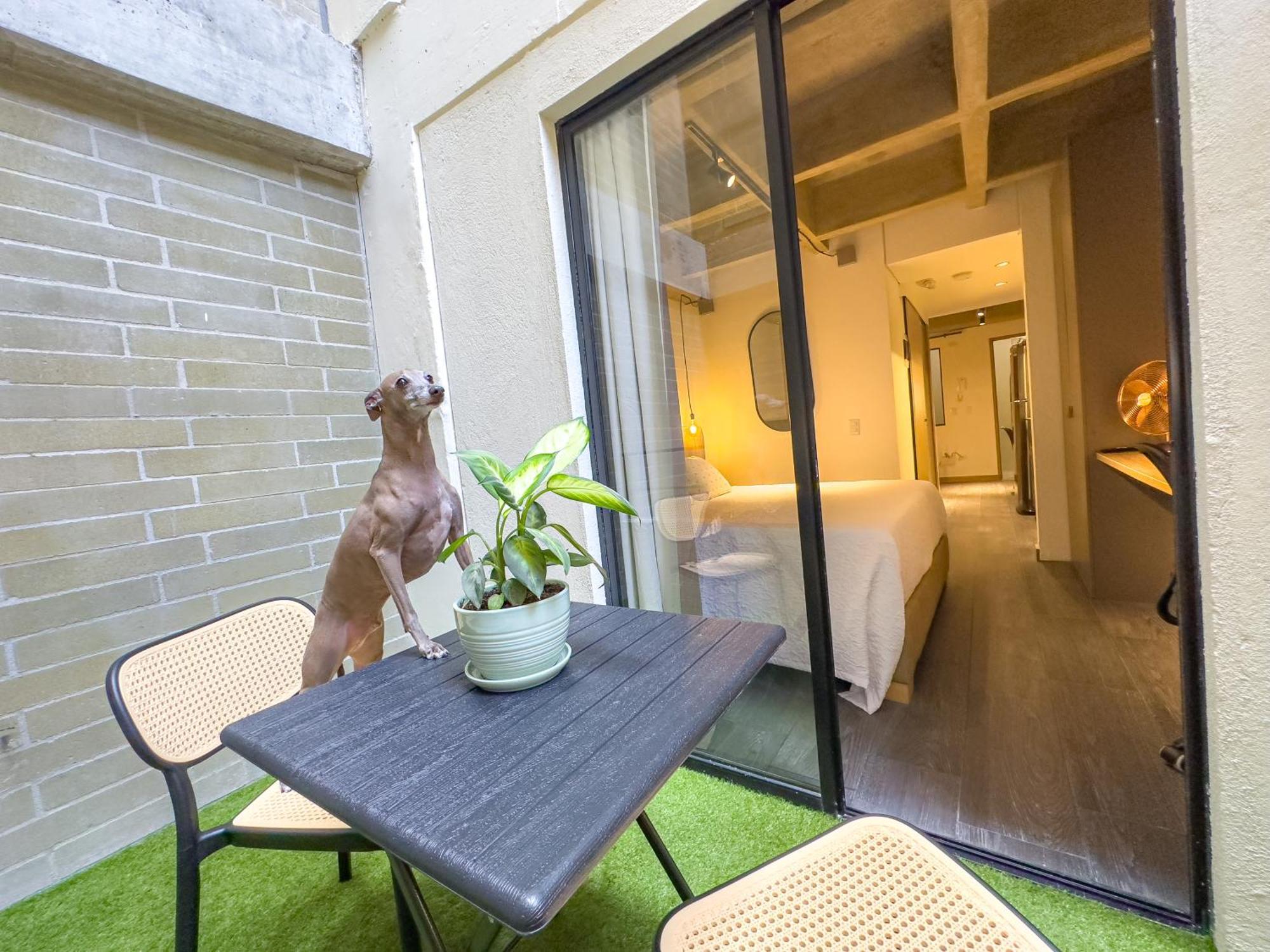Apartmán B 48 Living By B Rent Medellín Exteriér fotografie